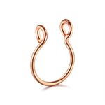 5pcs Stainless Steel Magnet Fake Nose Ring Hoop Fake Piercing Hoop Septum Rings For Women Fashion Gothic Rock Body Jewelry Gifts BareGlow