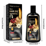 Water Ice Levin Black Hair Dye Shampoo 4-in-1 Mild Natural Herbal Ingredients 15 Minutes Fast Coloring Moisturizing Care 100ml BareGlow
