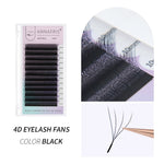 ANNAFRIS Premade Volume Fan YY 3D 4D 5D W-Shaped Lash Automatic Flowering W Lashes Extension Natural Soft Full Dense Mink Lash BareGlow
