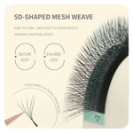 ANNAFRIS Premade Volume Fan YY 3D 4D 5D W-Shaped Lash Automatic Flowering W Lashes Extension Natural Soft Full Dense Mink Lash BareGlow
