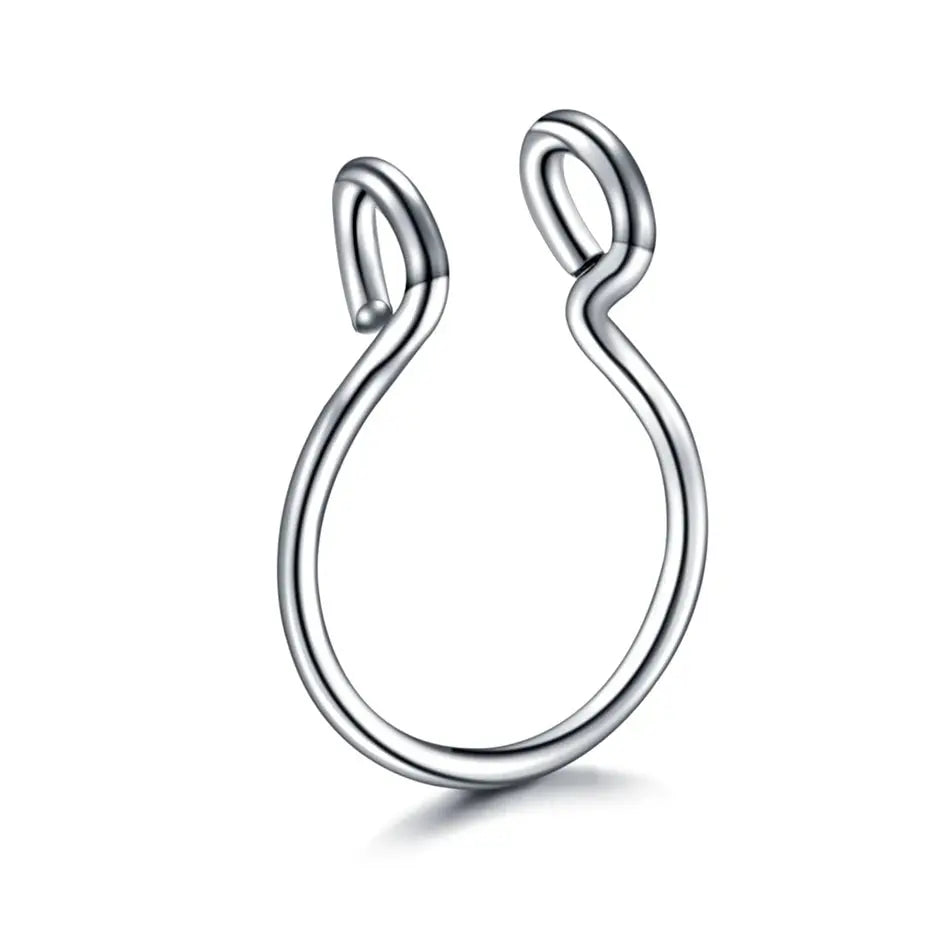5pcs Stainless Steel Magnet Fake Nose Ring Hoop Fake Piercing Hoop Septum Rings For Women Fashion Gothic Rock Body Jewelry Gifts BareGlow